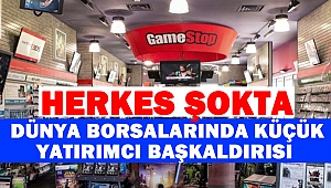 Dünya Borsalarında Küçük Yatırımcı Başkaldırısı