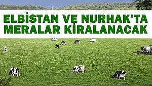 Elbistan ve Nurhak’ta meralar kiralanacak