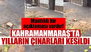 Kahramanmaraş’ta Cadde Ortasındaki Çınarlar Kesildi