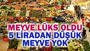 Meyve lüks oldu: 5 Liradan Düşük Meyve Yok