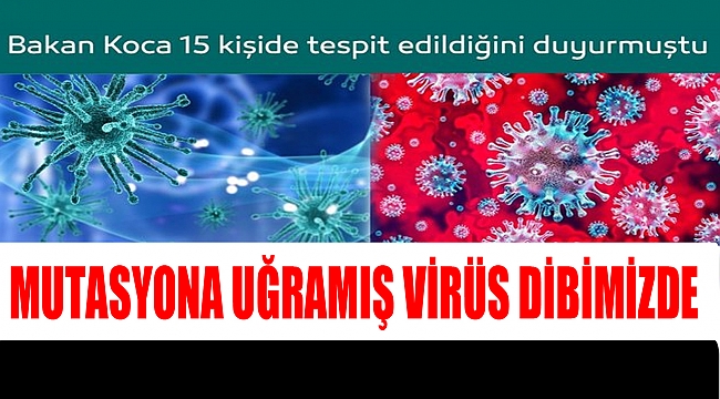Mutasyona Uğramış Virüs Dibimizde
