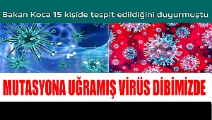 Mutasyona Uğramış Virüs Dibimizde