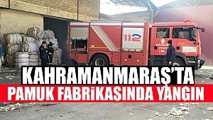 Pamuk fabrikasında yangın