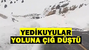 Yedikuyular Yoluna Çığ Düştü