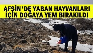 Afşin'de Yaban Hayvanları İçin Doğaya Yem Bırakıldı
