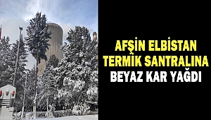 Afşin Elbistan Termik Santralına Beyaz Kar Yağdı