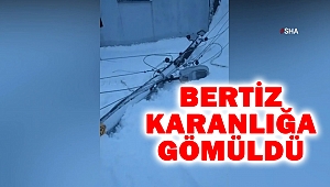 Bertiz Karanlığa Gömüldü