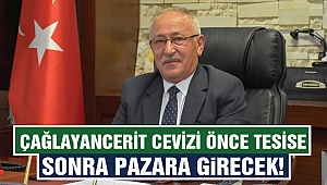 Çağlayancerit Cevizi Önce Tesise Sonra Pazara Girecek