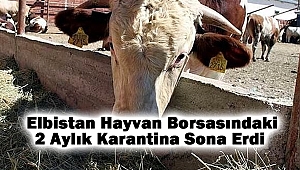 Elbistan Hayvan Borsasındaki 2 Aylık Karantina Sona Erdi