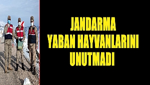 Jandarma yaban hayvanlarını unutmadı