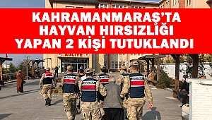 Kahramanmaraş’ta hayvan hırsızlığı yapan 2 kişi tutuklandı
