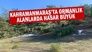 Kahramanmaraş’ta ormanlık alanlarda hasar büyük