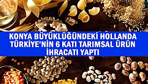 Konya büyüklüğündeki Hollanda, Türkiye’nin 6 katı tarımsal ürün ihracatı yaptı