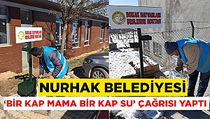 Nurhak Belediyesi’nden ‘Bir kap su bir kap mama’ çağrısı 