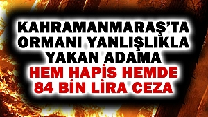 Ormanı Yanlışlıkla Yakan Adama Hem Hapis Hemde 84 Bin Lira Ceza