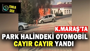 Park halindeki otomobil cayır cayır yandı