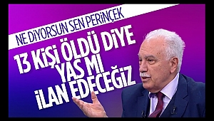 Perinçek’ten Skandal Sözler