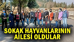 Sokak hayvanlarının ailesi oldular