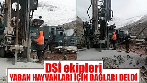 DSİ yaban hayvanları için dağları deldi 