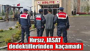 Hırsız JASAT dedektiflerinden kaçamadı 