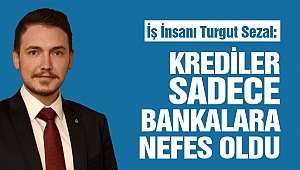 İş İnsanı Turgut Sezal: Krediler Sadece Bankalara Nefes Oldu