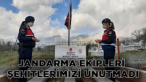 Jandarma şehit mezarlarını temizledi aileleri ziyaret etti