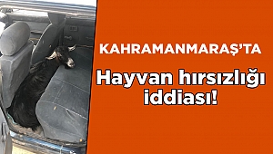 Kahramanmaraş’ta hayvan hırsızlığı iddiası 