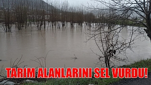 Kahramanmaraş’ta tarım arazilerini sel vurdu 