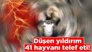 Kahramanmaraş’ta yıldırım düştü 41 küçükbaş hayvan telef oldu 
