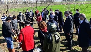 KSÜ’lü Geleceğin Ziraat Mühendisleri Budama ve Aşılamayı Uygulayarak Öğreniyor