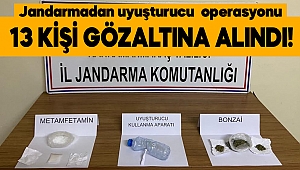 Jandarma uyuşturucu operasyonu: 13 gözaltı 
