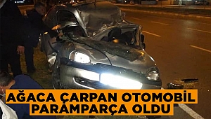 Kahramanmaraş’ta ağaca çarpan otomobil paramparça oldu 