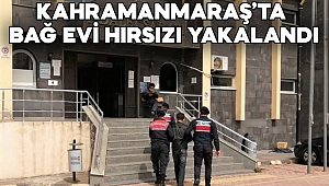 Kahramanmaraş’ta bağ evi hırsızı yakalandı