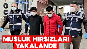 Öğrenci yurdunun musluklarını çalan 2 kişi tutuklandı 