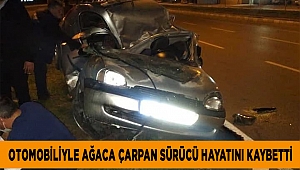 Otomobiliyle ağaca çarpan sürücü hayatını kaybetti 