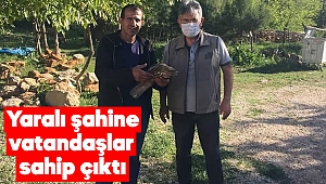 Afşin'de yaralı şahine vatandaşlar sahip çıktı 