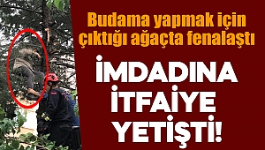 Budama yapmak için çıktığı ağaçta fenalaştı 