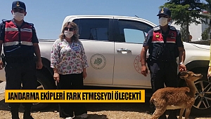 Jandarma ekipleri fark etmeseydi ölecekti 