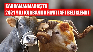 Kahramanmaraş’ta 2021 yılı kurbanlık fiyatları belirlendi