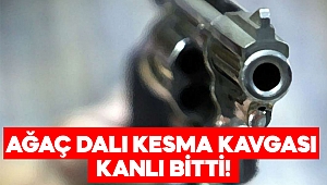 Kahramanmaraş’ta ağaç dalı kesilme kavgası ölümle bitti 