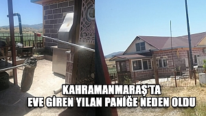 Kahramanmaraş’ta eve giren yılan paniğe neden oldu 