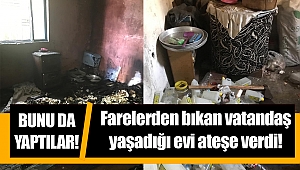 Kahramanmaraş’ta farelerden bıktı evini yaktı 