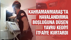 Kahramanmaraş'ta Havalandırma Boşluğuna Düşen Yavru Kediyi İtfaiye Kurtardı