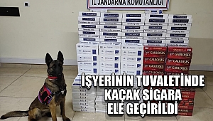 Kahramanmaraş’ta işyerinin tuvaletinde kaçak sigara ele geçirildi 