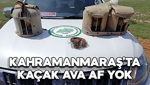 Kahramanmaraş’ta kaçak ava af yok 