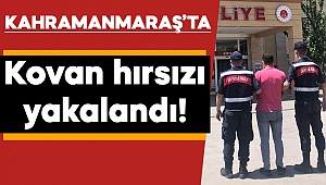 Kahramanmaraş’ta kovan hırsızı tutuklandı 