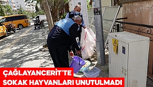 Kahramanmaraş’ta sokak hayvanları tam kapanma günlerinde unutulmadı