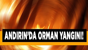 Andırın’da Orman Yangını