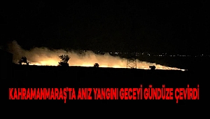 Kahramanmaraş'ta anız yangını geceyi gündüze çevirdi 