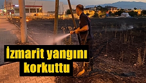 Kahramanmaraş'ta izmarit yangını korkuttu 